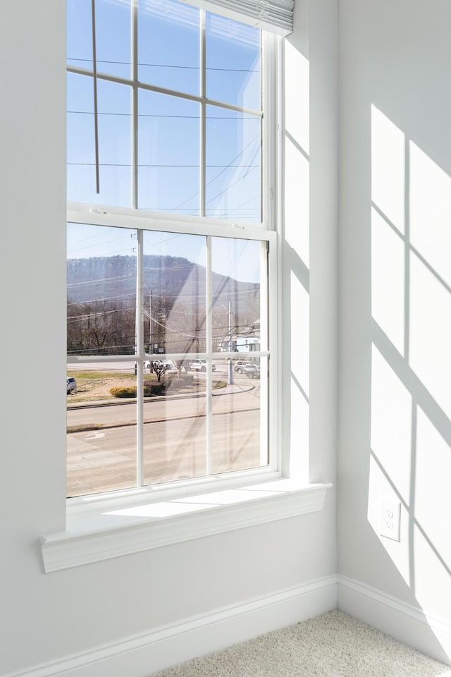 1978 Mitchell Ave Unit 21, Chattanooga, TN 37408 - detailed view of a mountainous background and baseboards