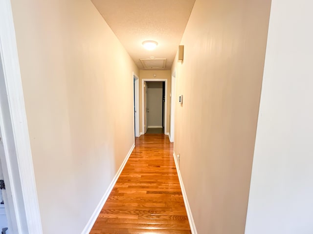 6413 Edgmon Dr, Chattanooga, TN 37421 - hallway with light wood-style floors and a textured ceiling