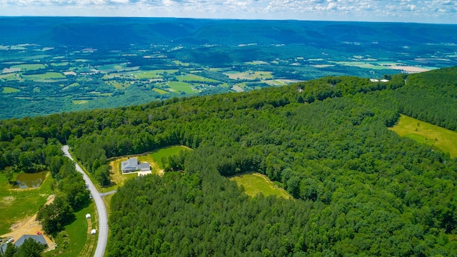 143 Walden Dr, Signal Mountain, TN 37377 - aerial view of a forest