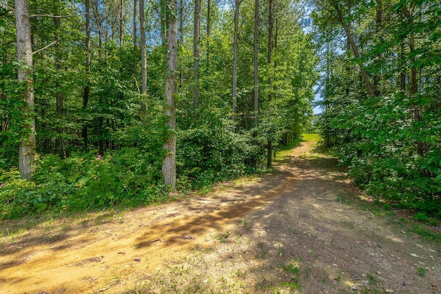 143 Walden Dr, Signal Mountain, TN 37377 - view of wooded area