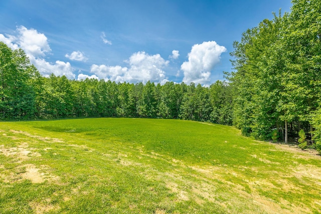 143 Walden Dr, Signal Mountain, TN 37377 - view of grassy yard featuring a wooded view