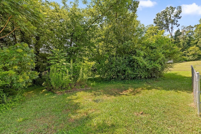 4920 Pine Cir, Ooltewah, TN 37363 - view of yard