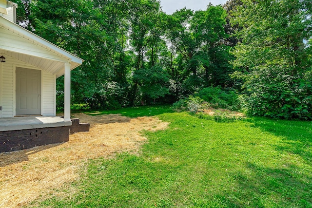220 Given St, Summerville, GA 30747 - view of grassy yard