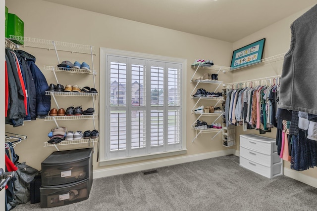 7459 Red Poppy Dr, Ooltewah, TN 37363 - walk in closet featuring carpet