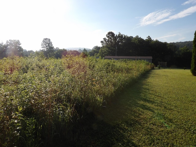 000 Meadow Vw Unit 43, Pikeville, TN 37367