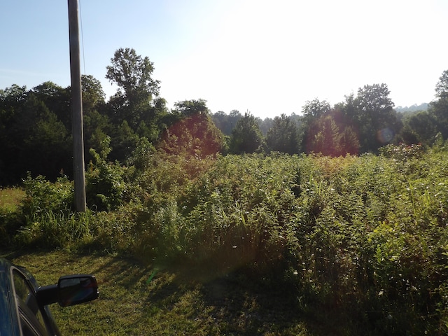 000 Meadow Vw Unit 43, Pikeville, TN 37367