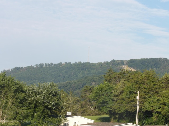 000 Meadow Vw Unit 43, Pikeville, TN 37367