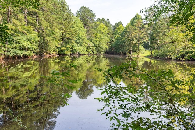 114 Clear Lake Dr, Lafayette, GA 30728 - photo 13