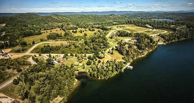 LOT56 Blue Heron Blf, Harriman, TN 37748 - photo 2