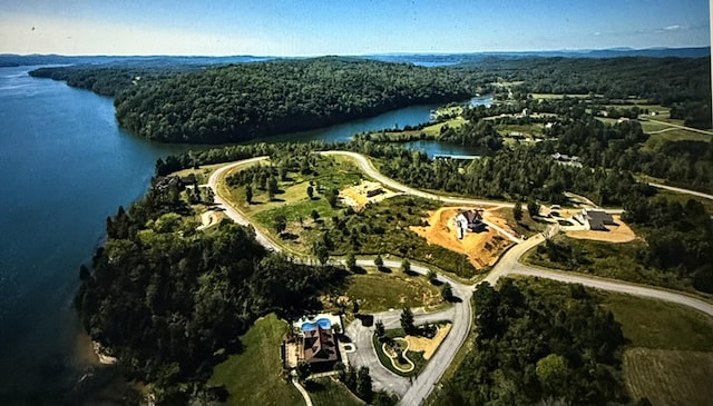 LOT56 Blue Heron Blf, Harriman, TN 37748 - photo 5