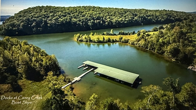 LOT56 Blue Heron Blf, Harriman, TN 37748 - photo 6
