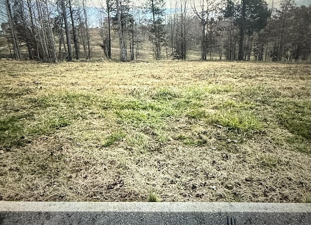 LOT56 Blue Heron Blf, Harriman, TN 37748 - photo 9