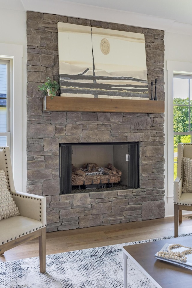 234 Goose Creek Cir, Soddy Daisy, TN 37379 - detailed view of wood finished floors and a fireplace