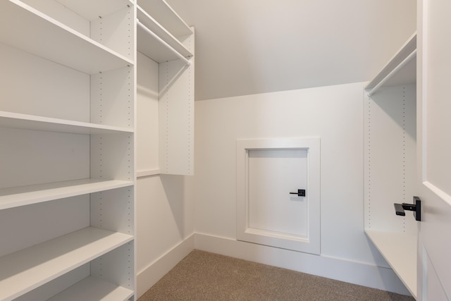 234 Goose Creek Cir, Soddy Daisy, TN 37379 - spacious closet with carpet flooring