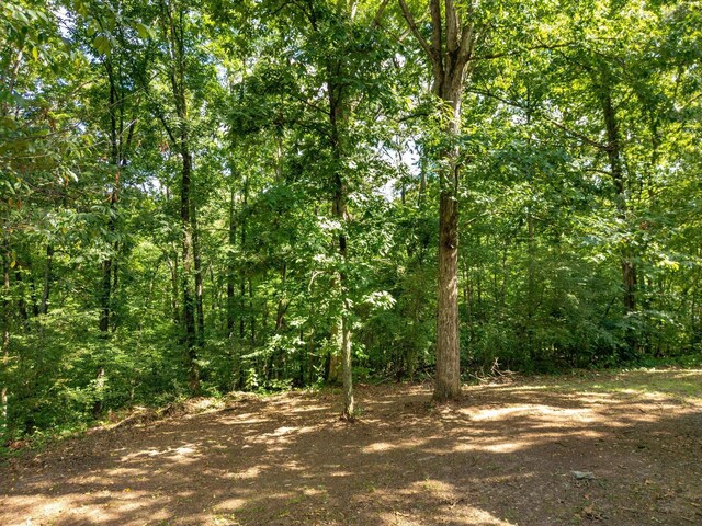 140 Janes Way NE, Cleveland, TN 37323 - photo 29