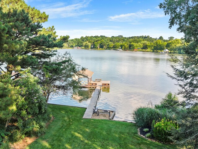 383 Lakehaven Cir, Decatur, TN 37322 - photo 48