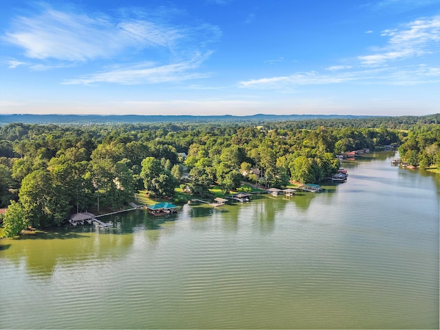383 Lakehaven Cir, Decatur, TN 37322 - photo 3