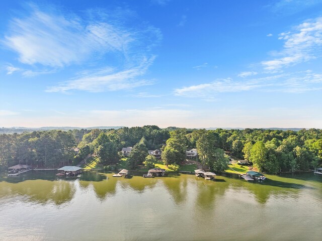 383 Lakehaven Cir, Decatur, TN 37322 - photo 50