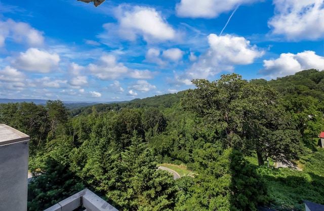 1131 Stringers Ridge Rd Unit 9G, Chattanooga, TN 37405 - photo 36