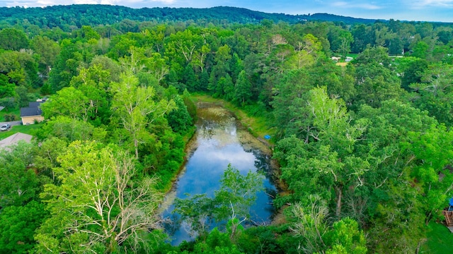 141 Old Mill Ln, Ringgold, GA 30736 - photo 20