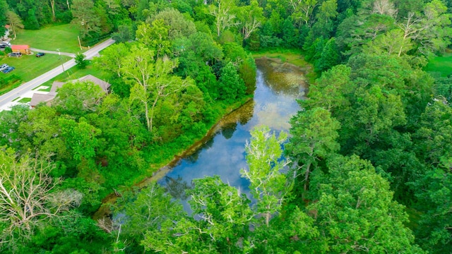 141 Old Mill Ln, Ringgold, GA 30736 - photo 24