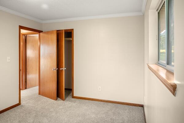 3224 Through St, Chattanooga, TN 37411 - unfurnished bedroom featuring ornamental molding, carpet floors, and a closet