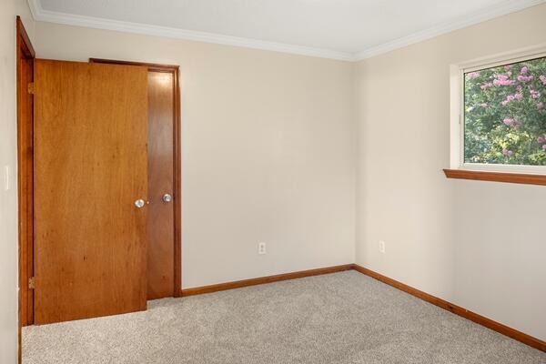 3224 Through St, Chattanooga, TN 37411 - carpeted spare room with crown molding and baseboards