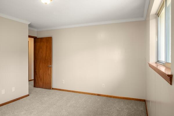 3224 Through St, Chattanooga, TN 37411 - empty room with carpet floors and ornamental molding
