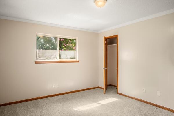 3224 Through St, Chattanooga, TN 37411 - unfurnished bedroom featuring ornamental molding, carpet floors, and a closet