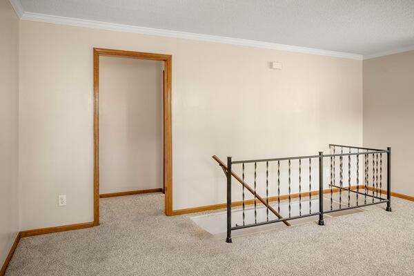 3224 Through St, Chattanooga, TN 37411 - carpeted spare room with crown molding