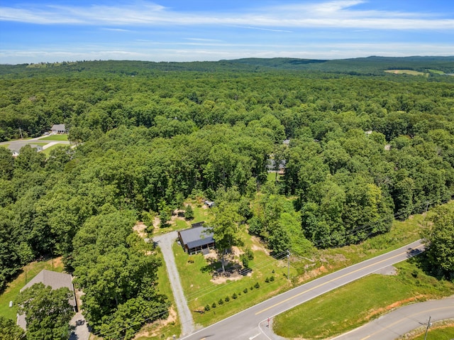 2815 Lewis Chapel Rd, Graysville, TN 37338 - photo 38