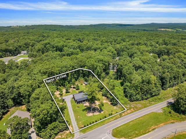 2815 Lewis Chapel Rd, Graysville, TN 37338 - photo 40