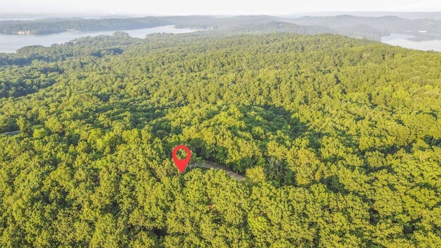 140 Mary Brown Ln, Rockwood, TN 37854 - photo 3