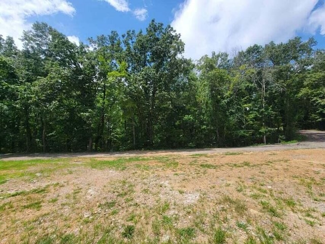 140 Mary Brown Ln, Rockwood, TN 37854 - photo 5