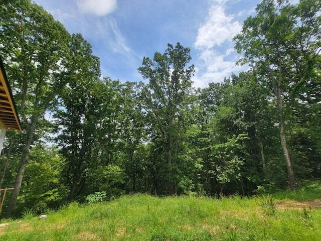 140 Mary Brown Ln, Rockwood, TN 37854 - photo 14