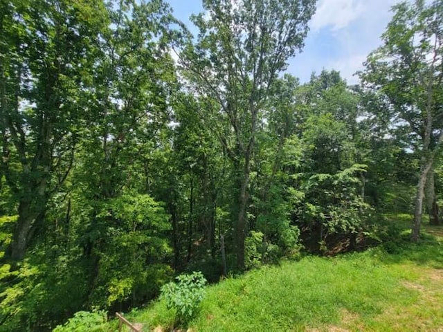 140 Mary Brown Ln, Rockwood, TN 37854 - photo 16
