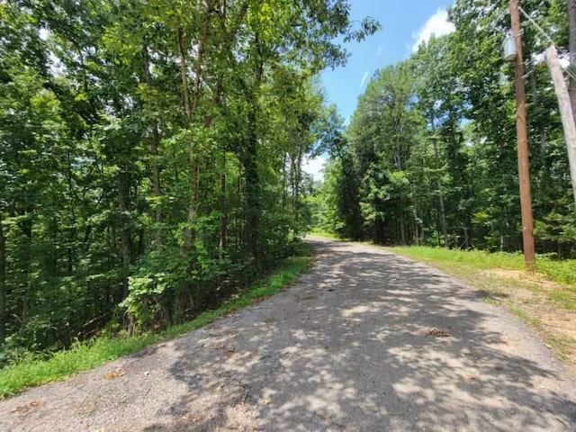 140 Mary Brown Ln, Rockwood, TN 37854 - photo 17