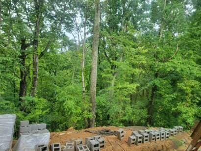 140 Mary Brown Ln, Rockwood, TN 37854 - photo 19
