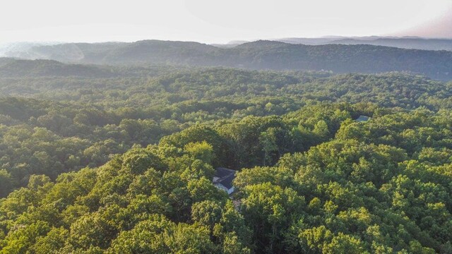 140 Mary Brown Ln, Rockwood, TN 37854 - photo 26