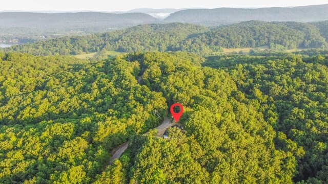140 Mary Brown Ln, Rockwood, TN 37854 - photo 28