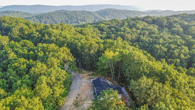 140 Mary Brown Ln, Rockwood, TN 37854 - photo 30