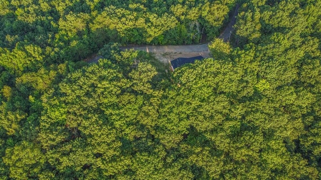 140 Mary Brown Ln, Rockwood, TN 37854 - photo 31
