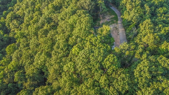 140 Mary Brown Ln, Rockwood, TN 37854 - photo 32
