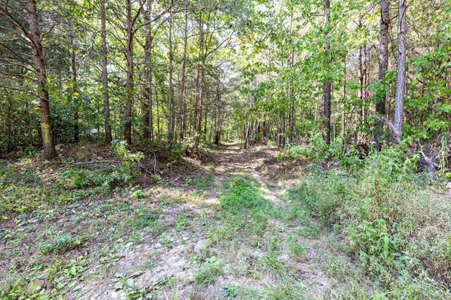11003 Worley Rd, Soddy Daisy, TN 37379
