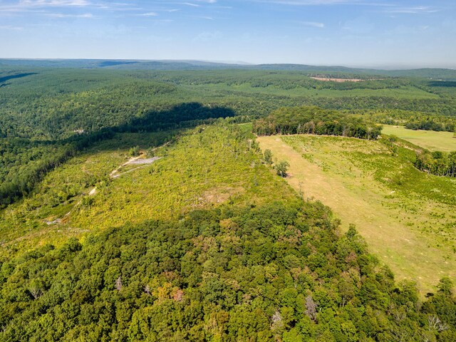 11003 Worley Rd, Soddy Daisy, TN 37379