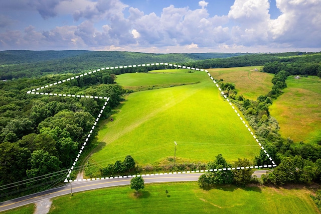 1901 Lewis Chapel Rd, Graysville, TN 37338 - photo 1