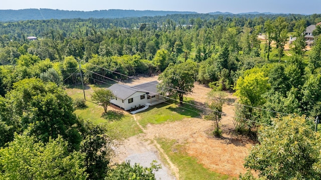8354 Wild Fig Ln, Ooltewah, TN 37363 - photo 34