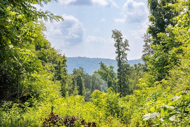 8354 Wild Fig Ln, Ooltewah, TN 37363 - photo 36