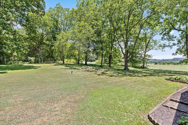 120 Grassy Ln, Sweetwater, TN 37874 - photo 30
