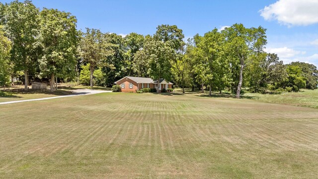 120 Grassy Ln, Sweetwater, TN 37874 - photo 46